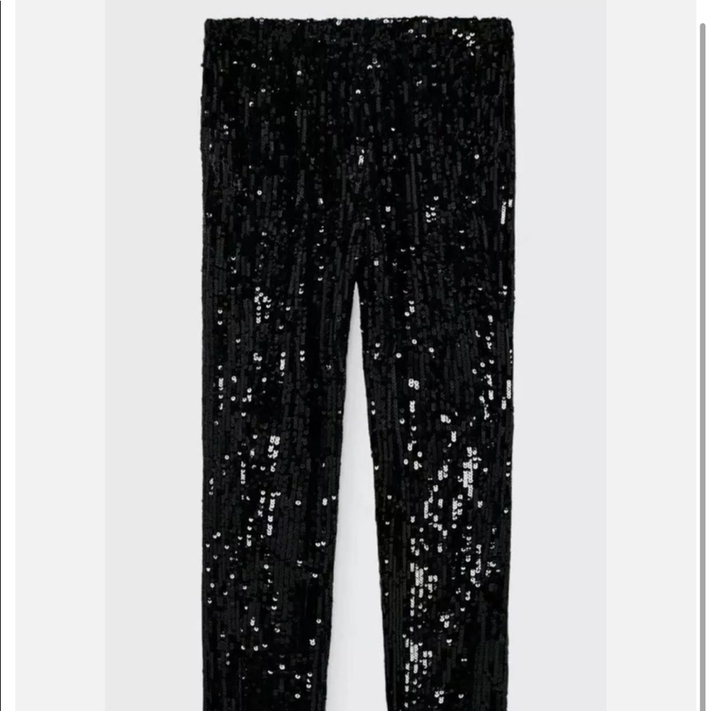 Zara NWT sequin pants - medium